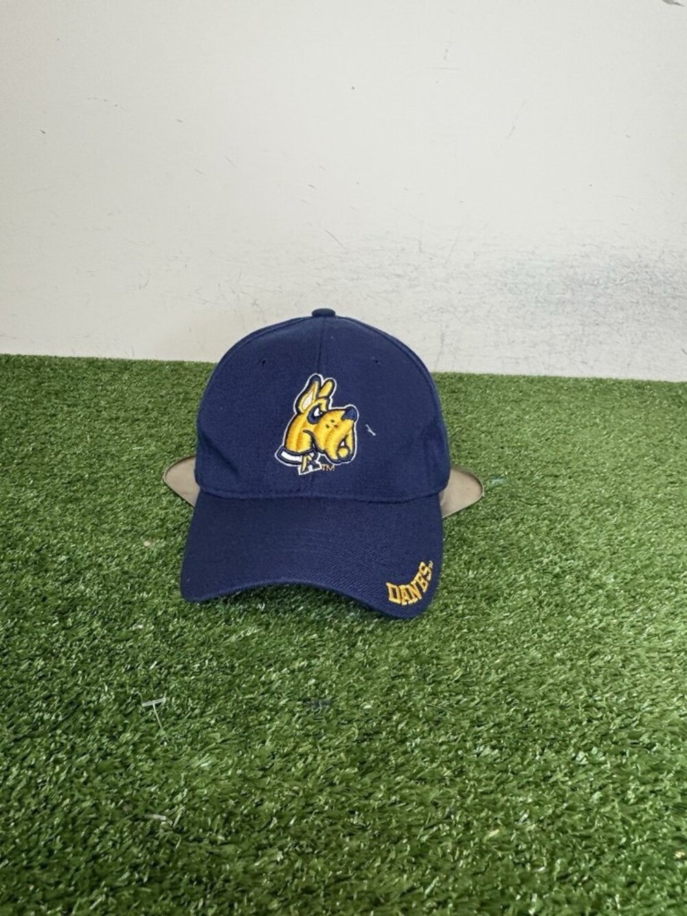 Vintage Albany Great Danes hat cap fitted 7 3/8 blue yellow wool Y2K mens retro